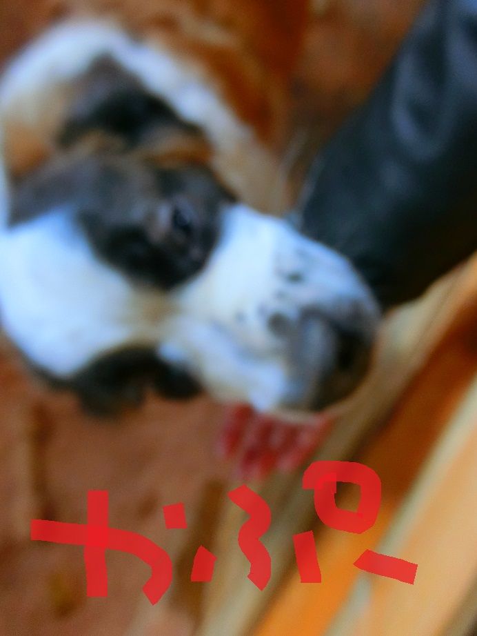 CIMG6972