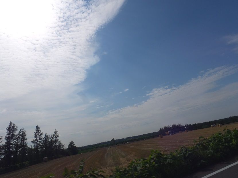 DSCF7516