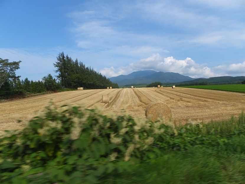 DSCF7509