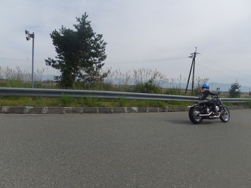 DSCF8551