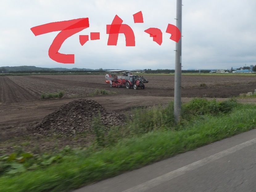 DSCF7239
