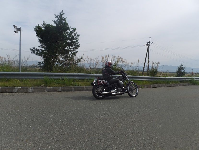 DSCF8552