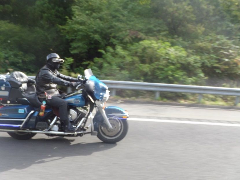 DSCF8454