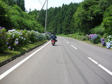 あら!