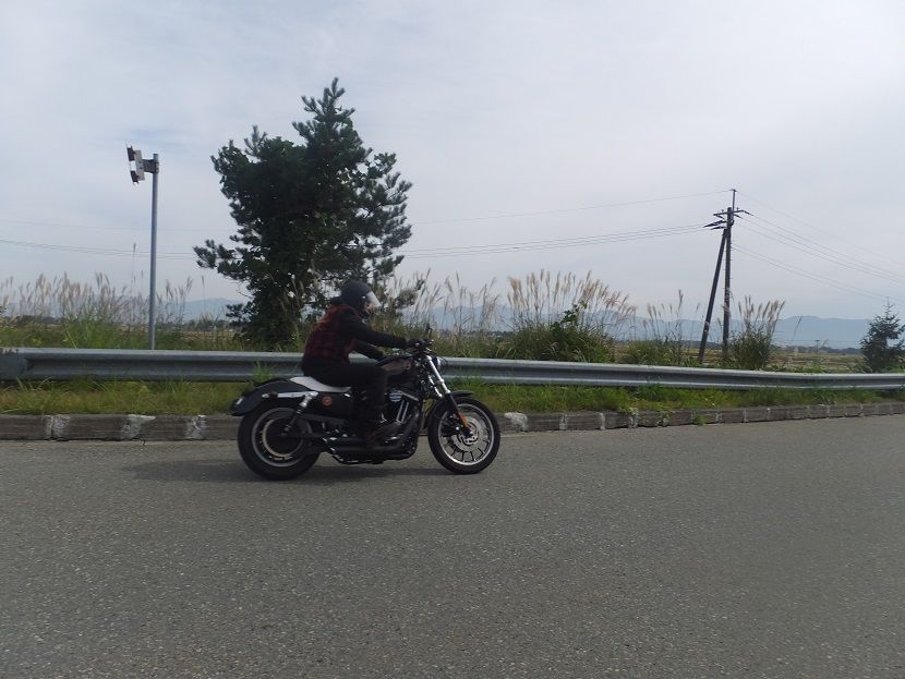 DSCF8549