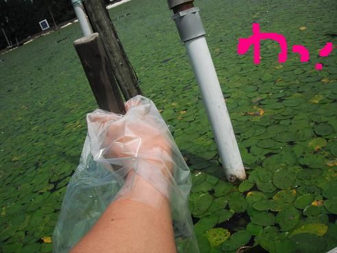 blogfree13 029