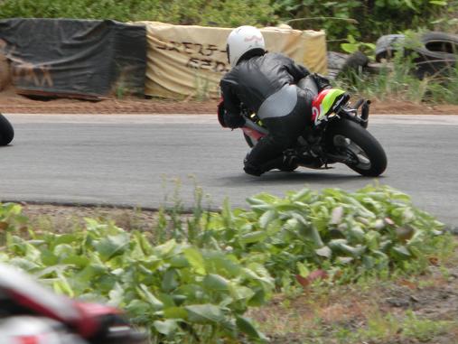 2013 274