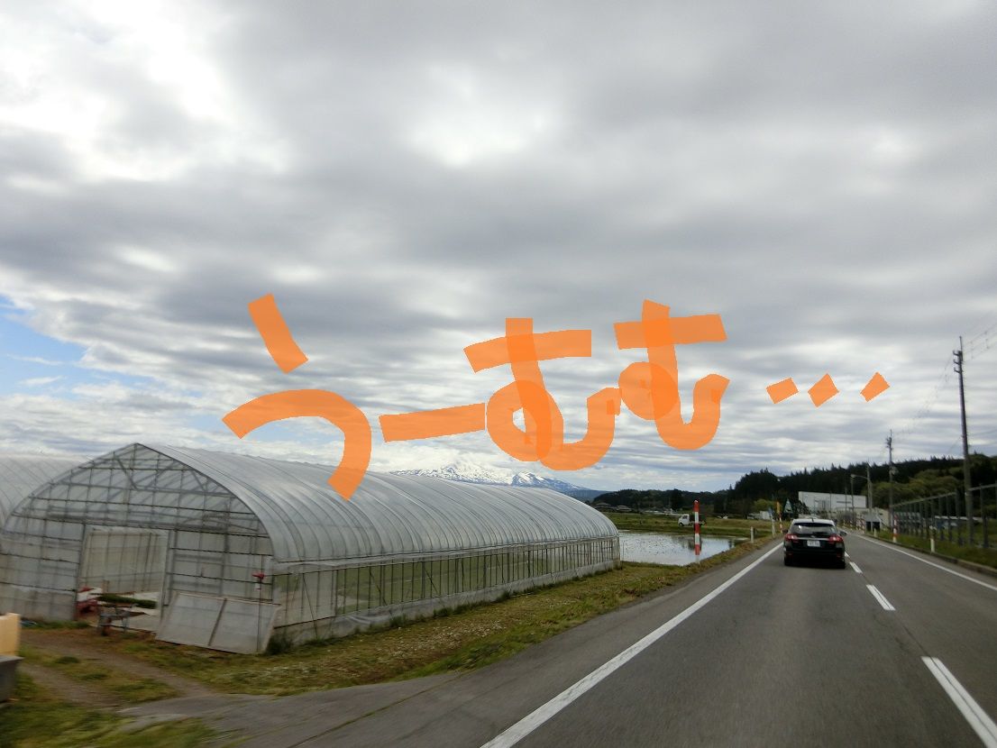 CIMG0089