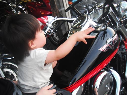 blogfree29 310