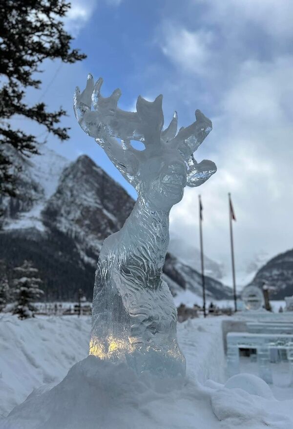 20241228_010803179_iOS