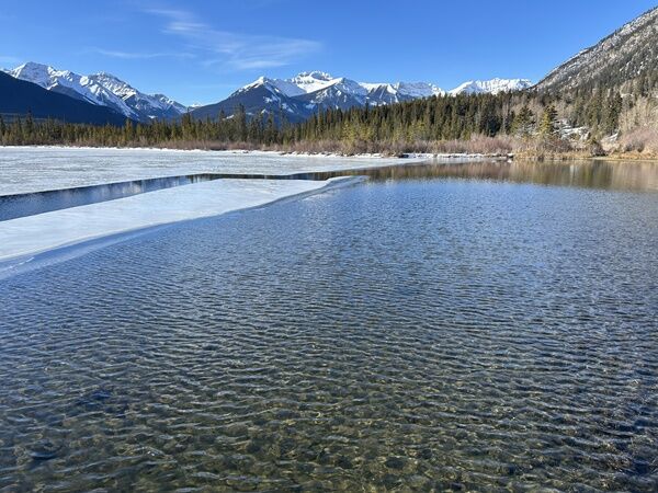 20260209_181300374_iOS