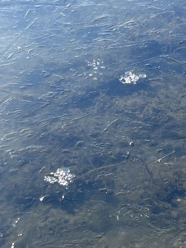 20260209_181536088_iOS