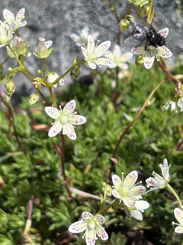 20250707_003024409_iOS