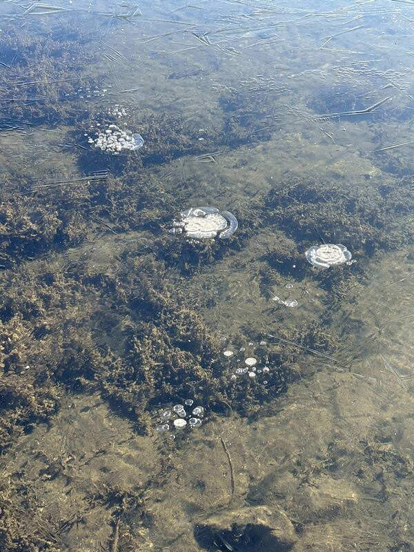 20251120_191309194_iOS