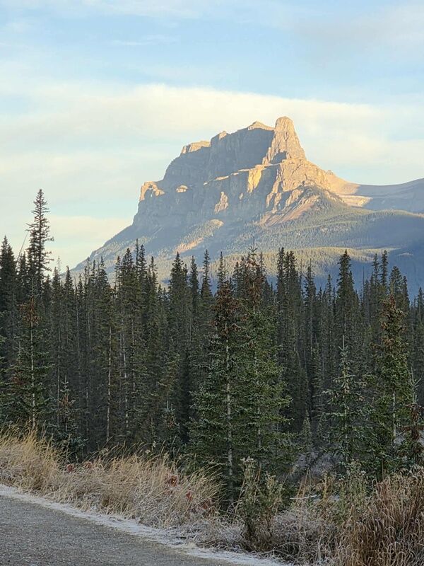 20251010_233830760_iOS