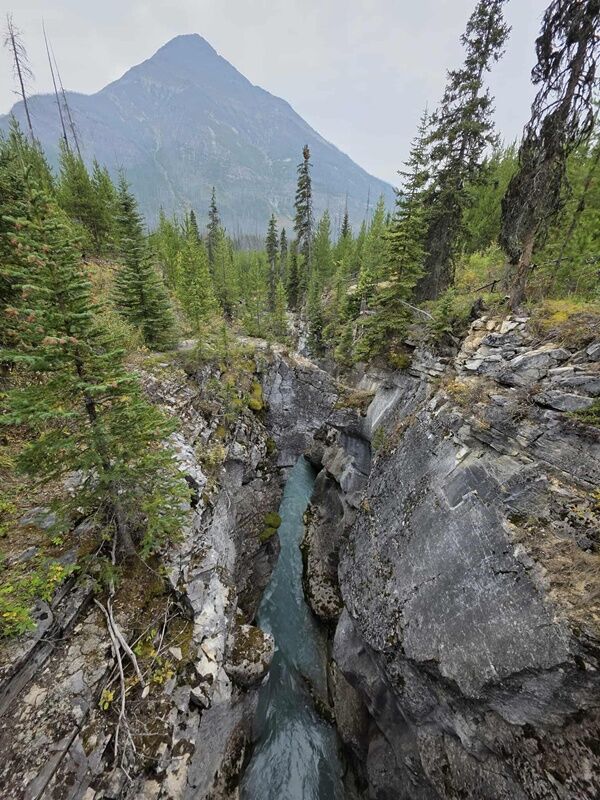 20250915_000145090_iOS