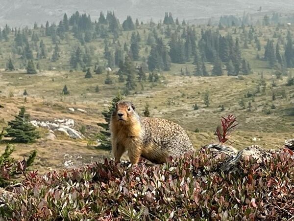 20230823_172331985_iOS