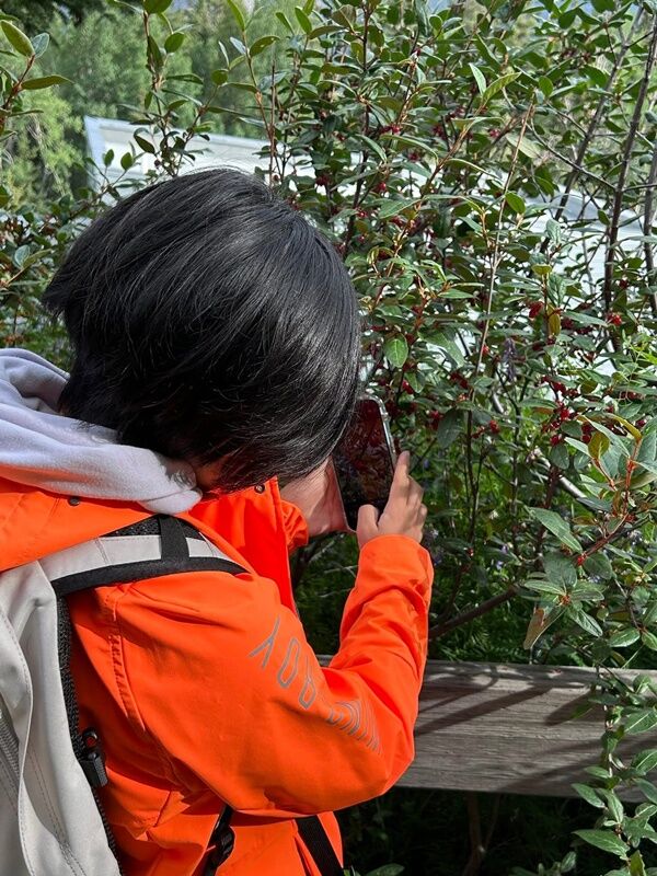 20250724_231333782_iOS