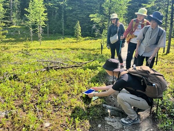 20240709_174213116_iOS