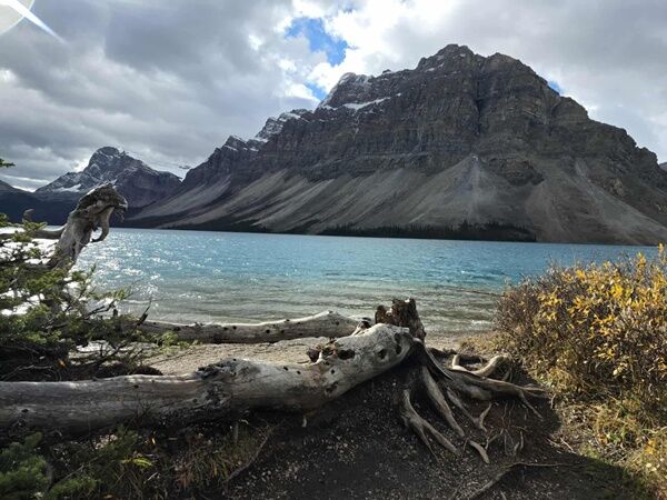 20251004_011840922_iOS