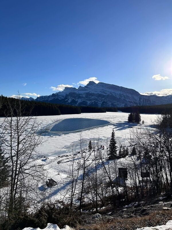 20241224_005708136_iOS