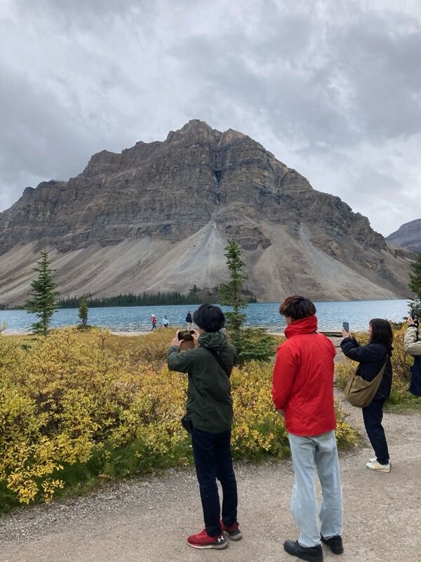 20240919_234636000_iOS