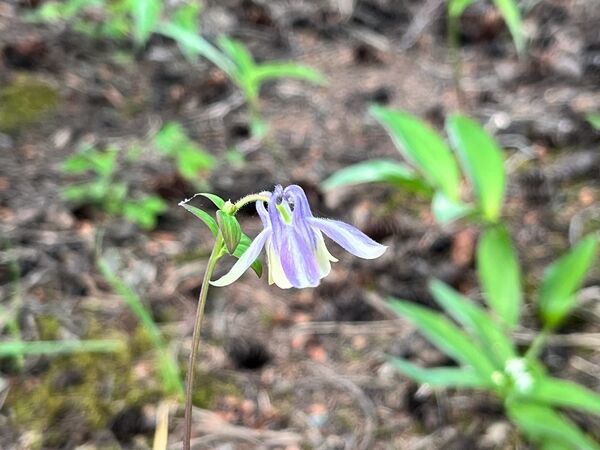 20240623_162709262_iOS