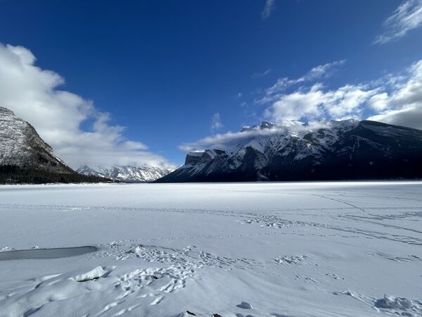 20240209_191226291_iOS