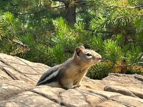 20230823_172301559_iOS