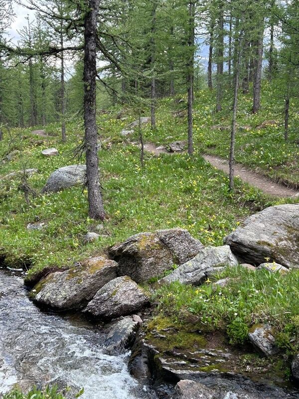 20250624_030603554_iOS