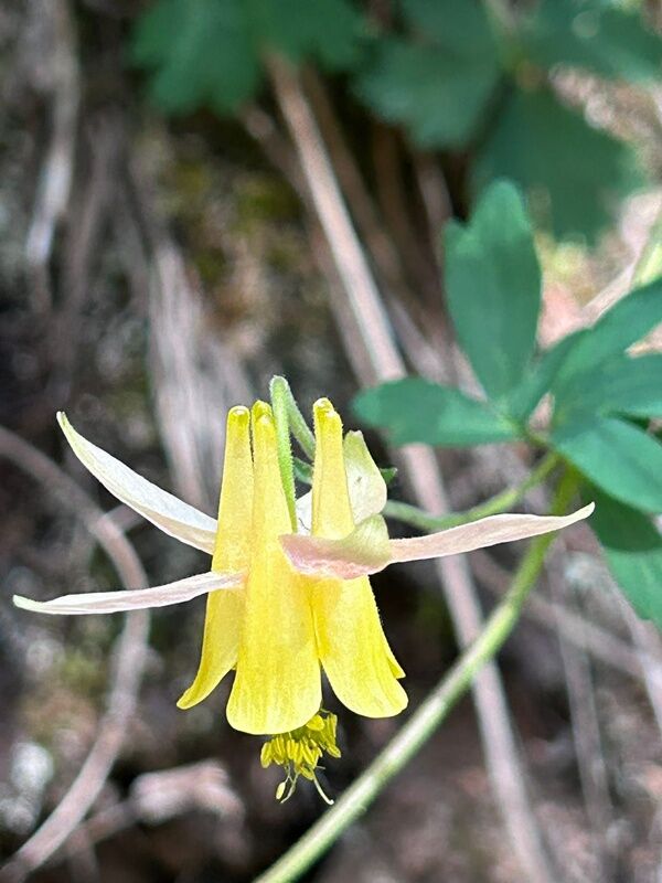 20250707_003031130_iOS