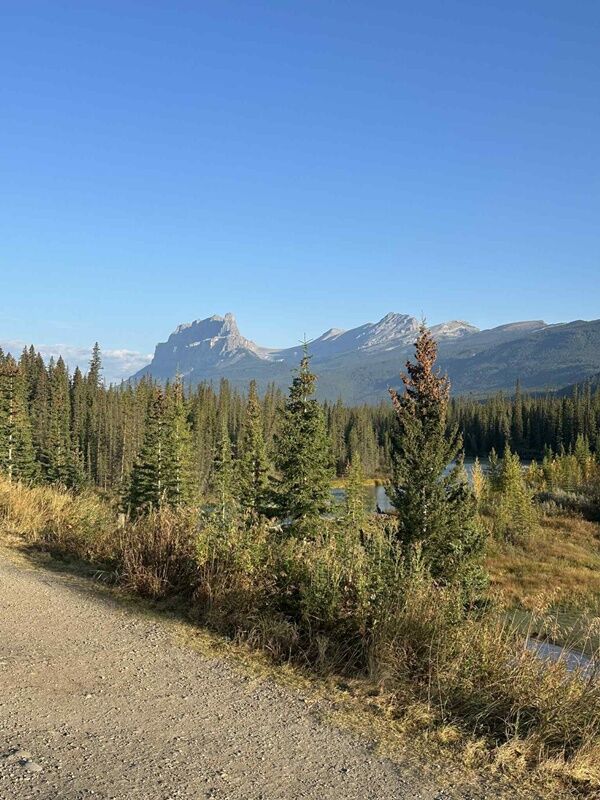 20250919_025857010_iOS