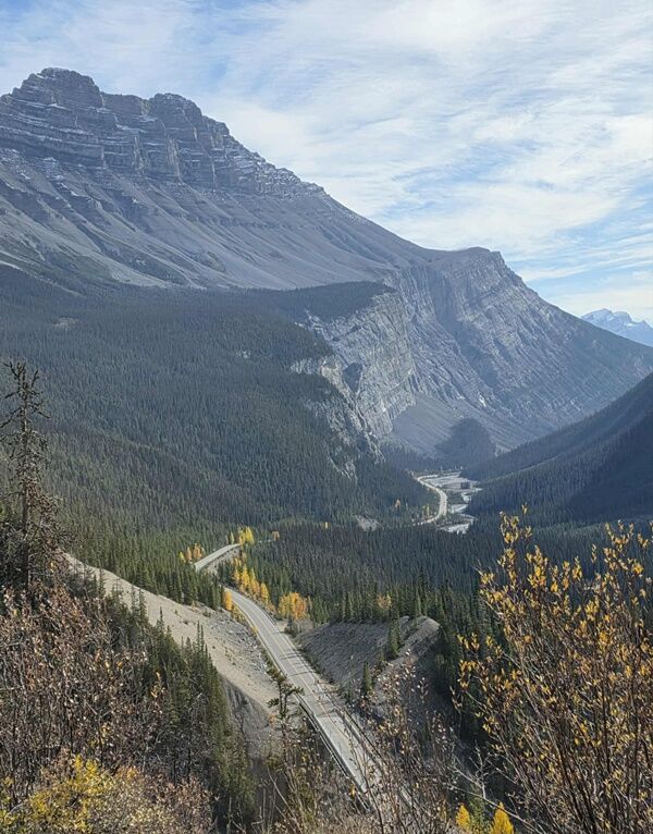 20251010_233830731_iOS