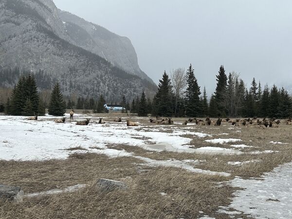 20240224_180531537_iOS