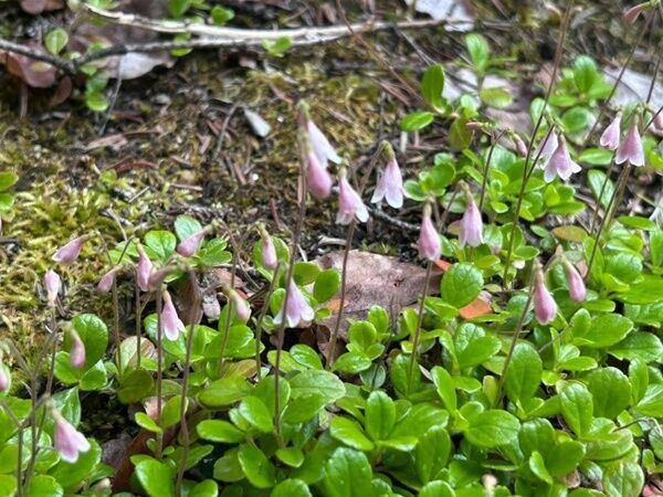 20250707_003027613_iOS