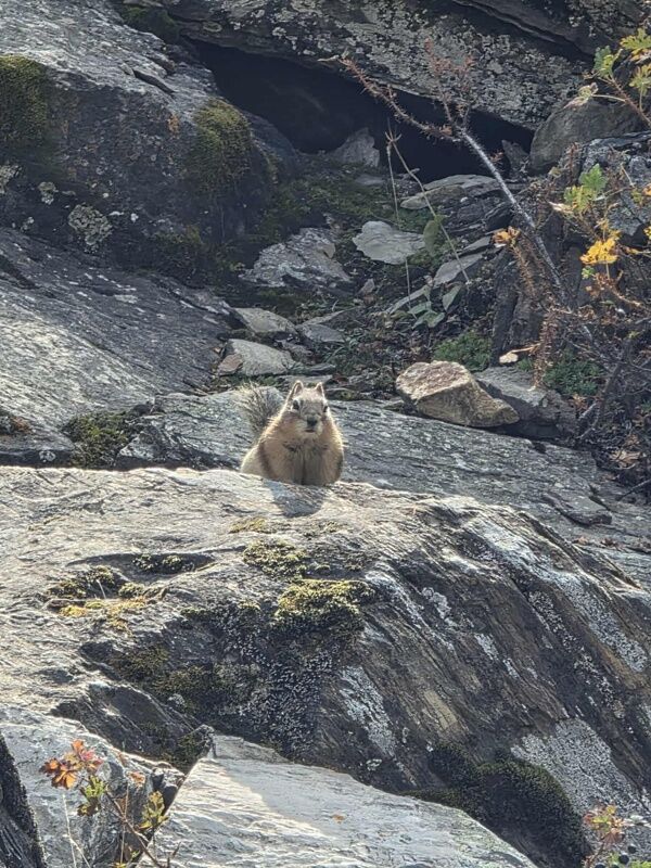 20250913_001347571_iOS