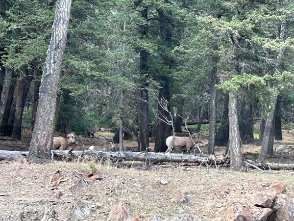 20241016_113631168_iOS