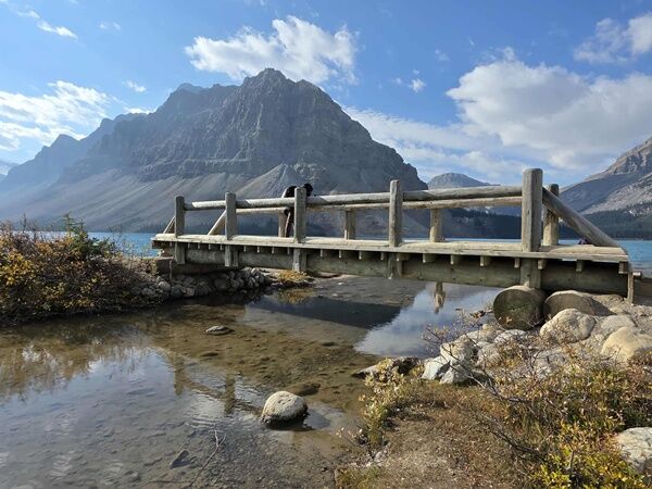 20250925_005006369_iOS