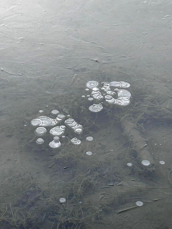 20250118_022610053_iOS