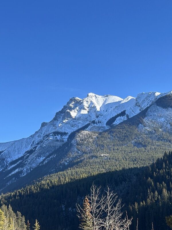 20251120_183759808_iOS