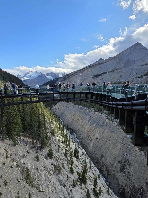 20250923_231231696_iOS