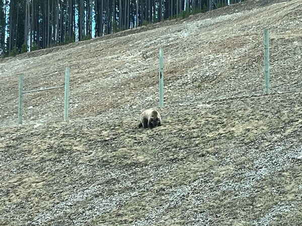 20240519_221248992_iOS