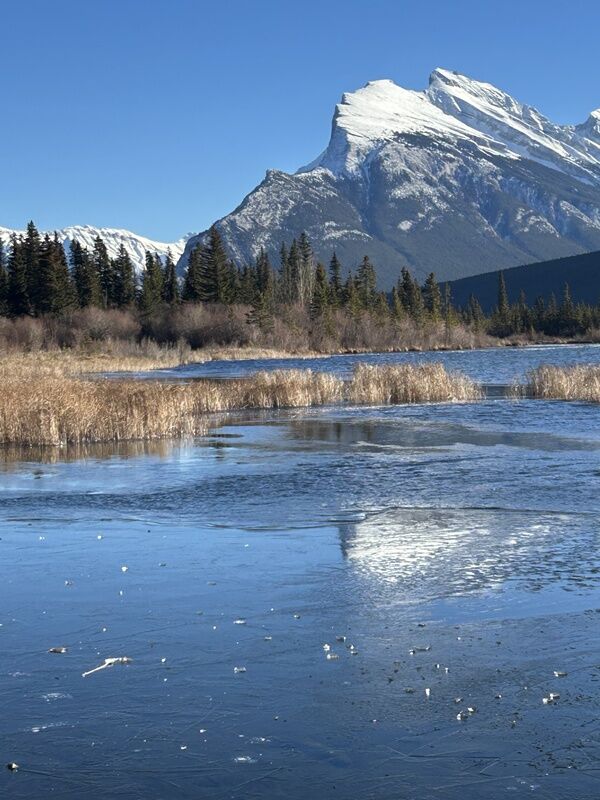 20251120_191237353_iOS