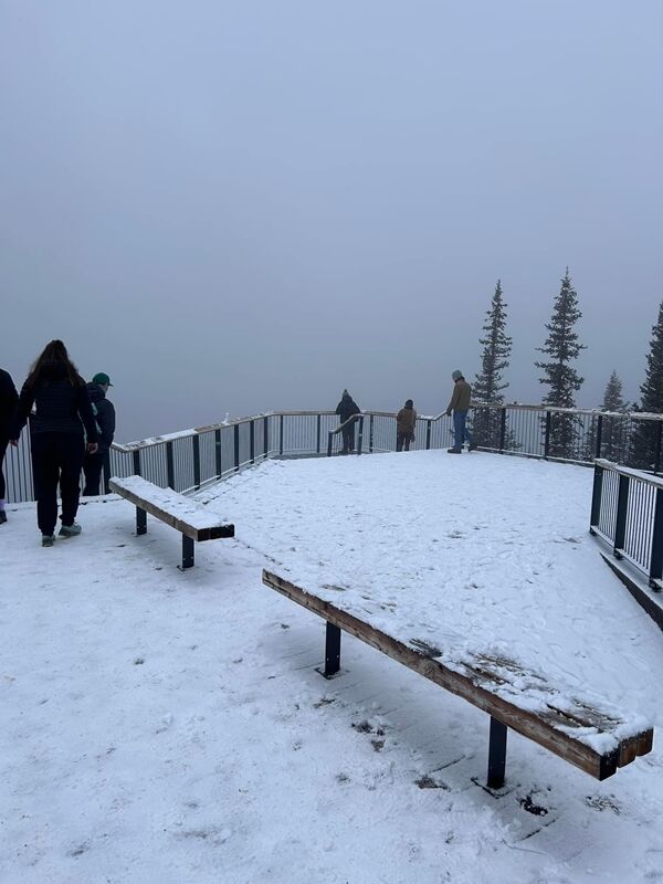 20240921_024101729_iOS