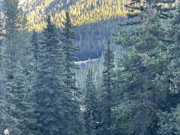 20251015_002328717_iOS