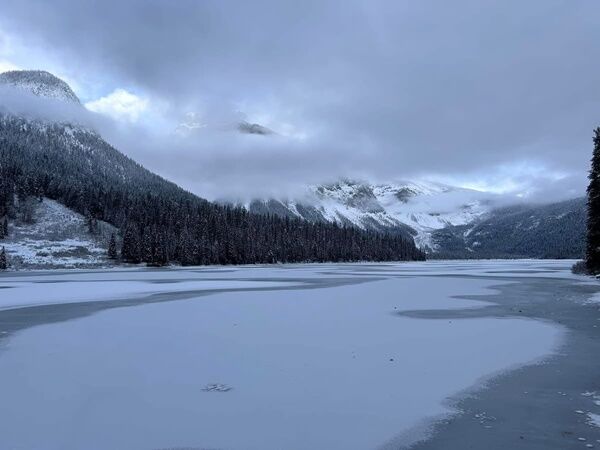 20241204_062123828_iOS