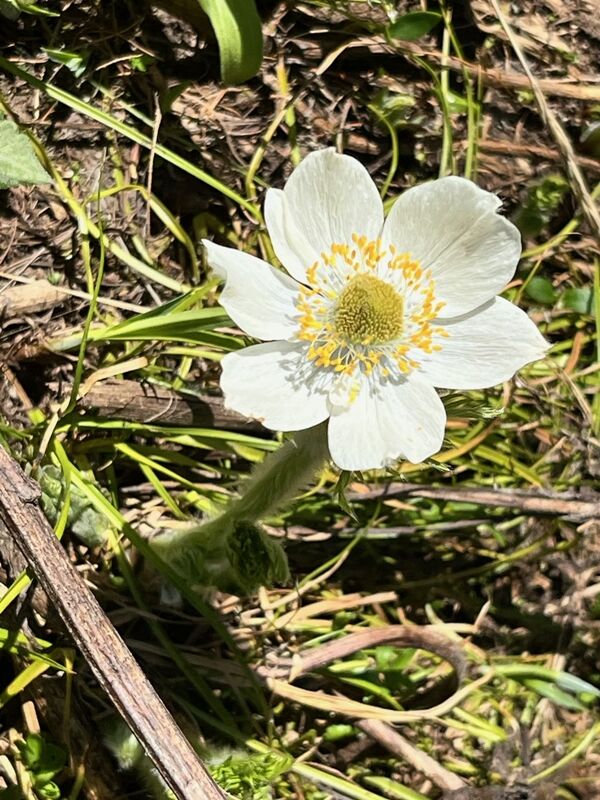 20240709_192333621_iOS