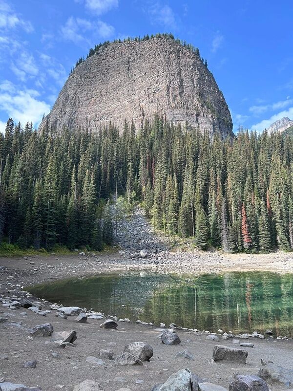 20250913_013605310_iOS