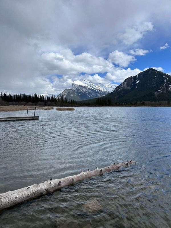 20250420_005920930_iOS