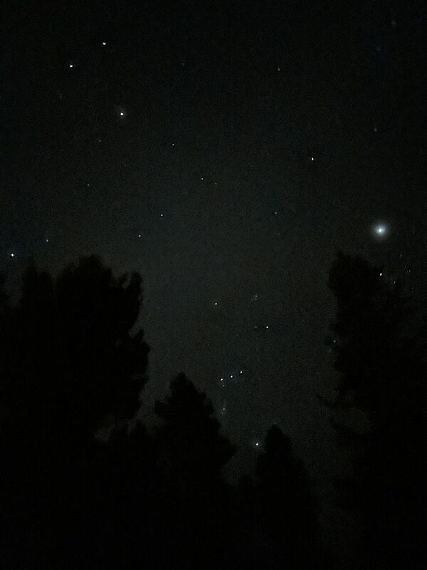 20250227_044427120_iOS